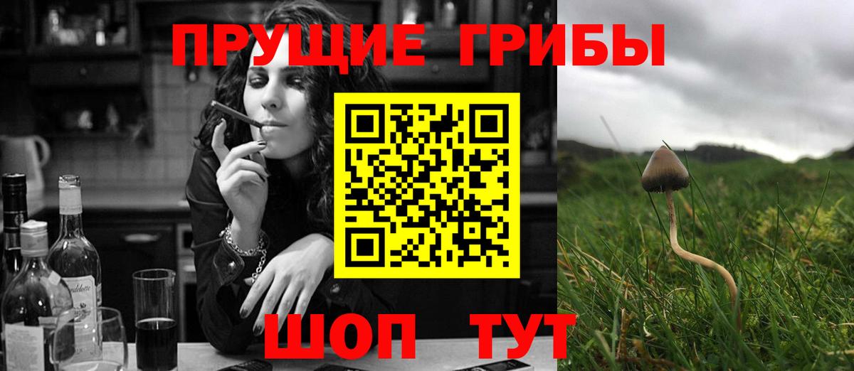 Бутурлиновка  закладка  Вход с VPN  Псилоцибиновые грибы ЛСД 